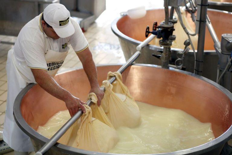 traditional Parmigiano-Reggiano cheese factory