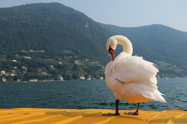 lake iseo