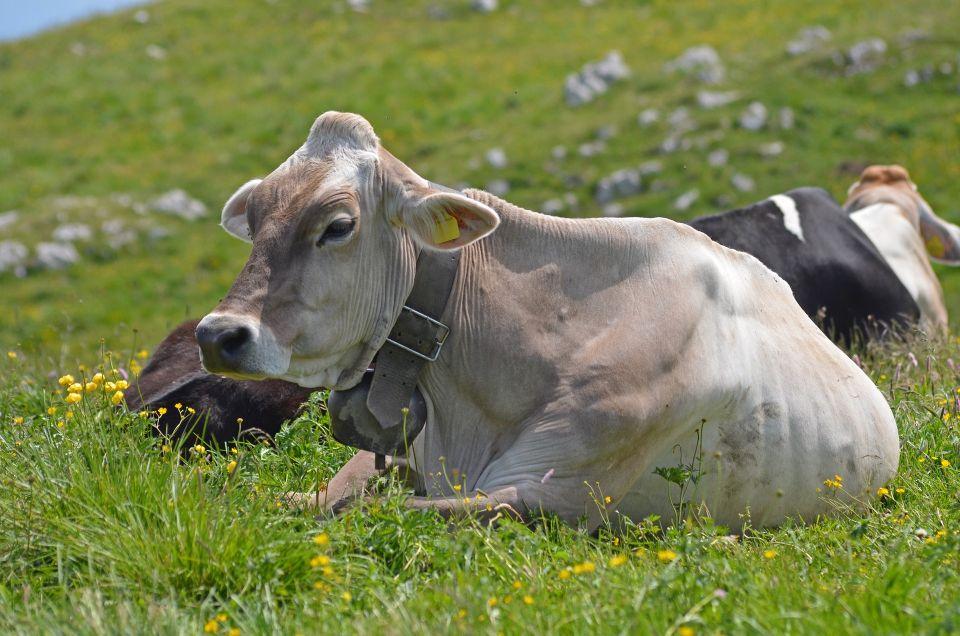 Monte Baldo