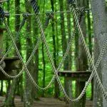 jungle adventure park